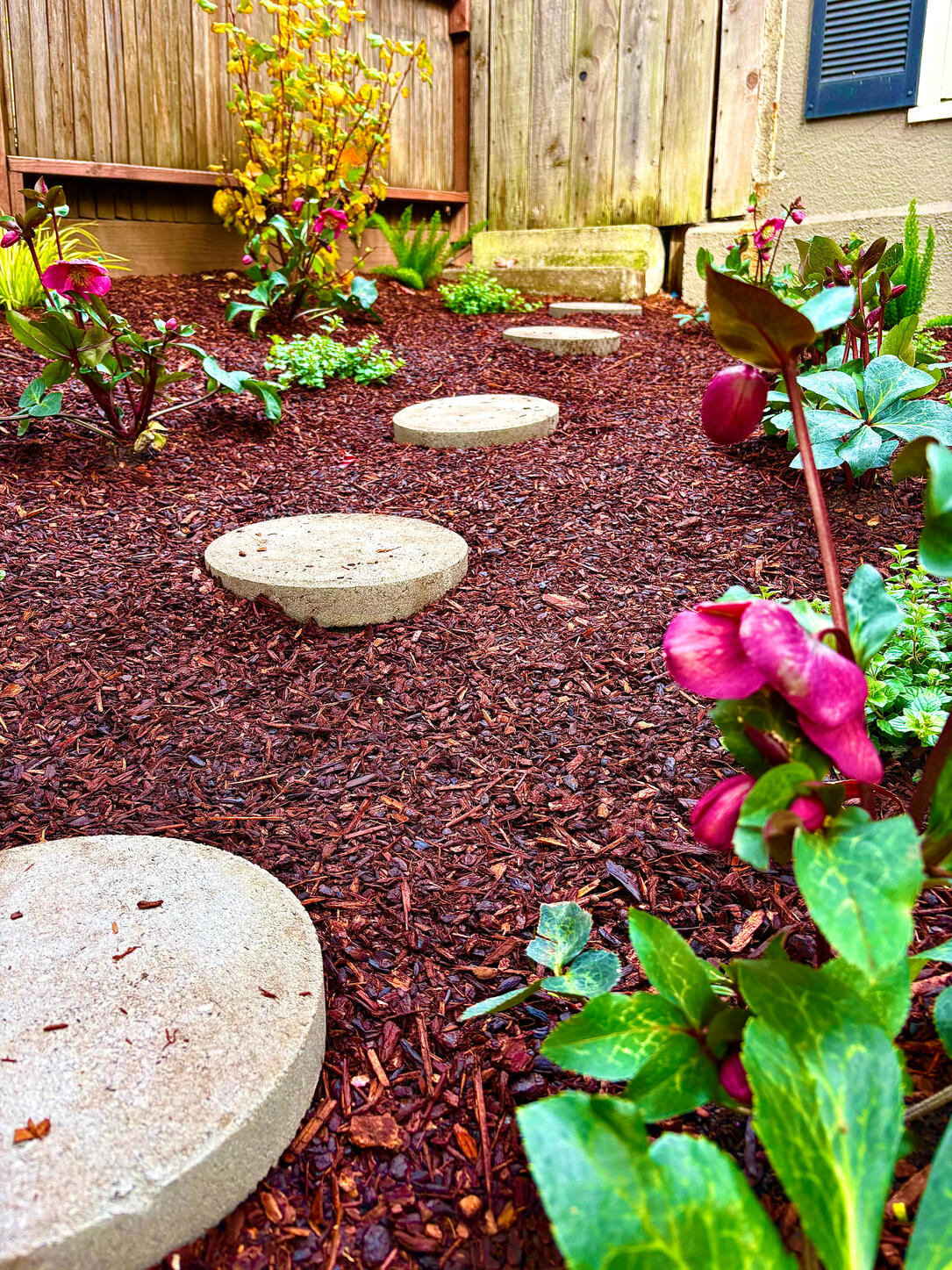 Piedmont | Shade Garden Design, Installation, and Maintenance