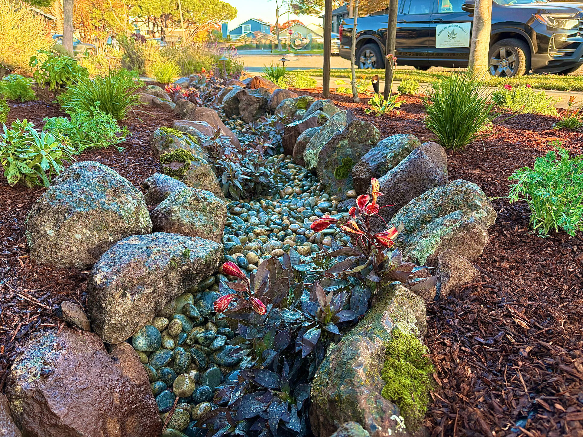 Alameda | Dry River Bed Planting Design, Installation, and Maintenance