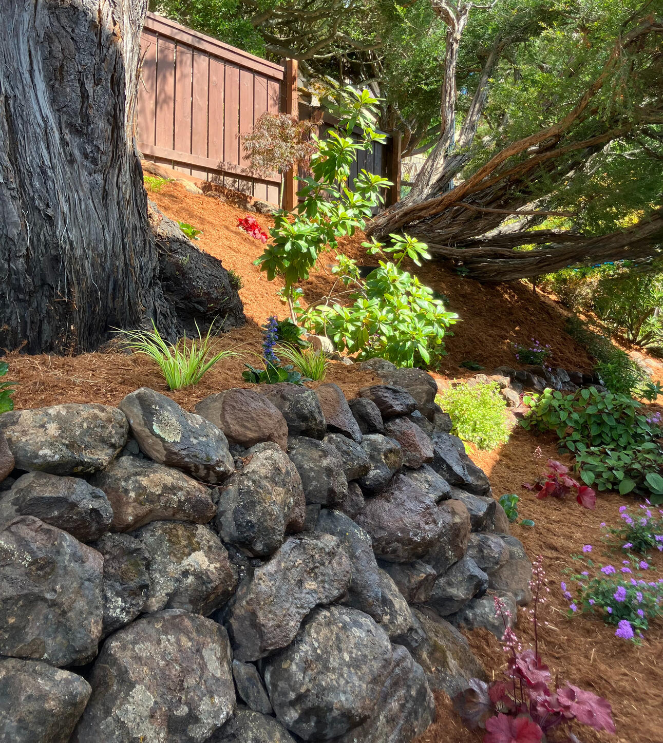 Oakland | Retaining Wall and Planting Design, Installation, and Maintenance