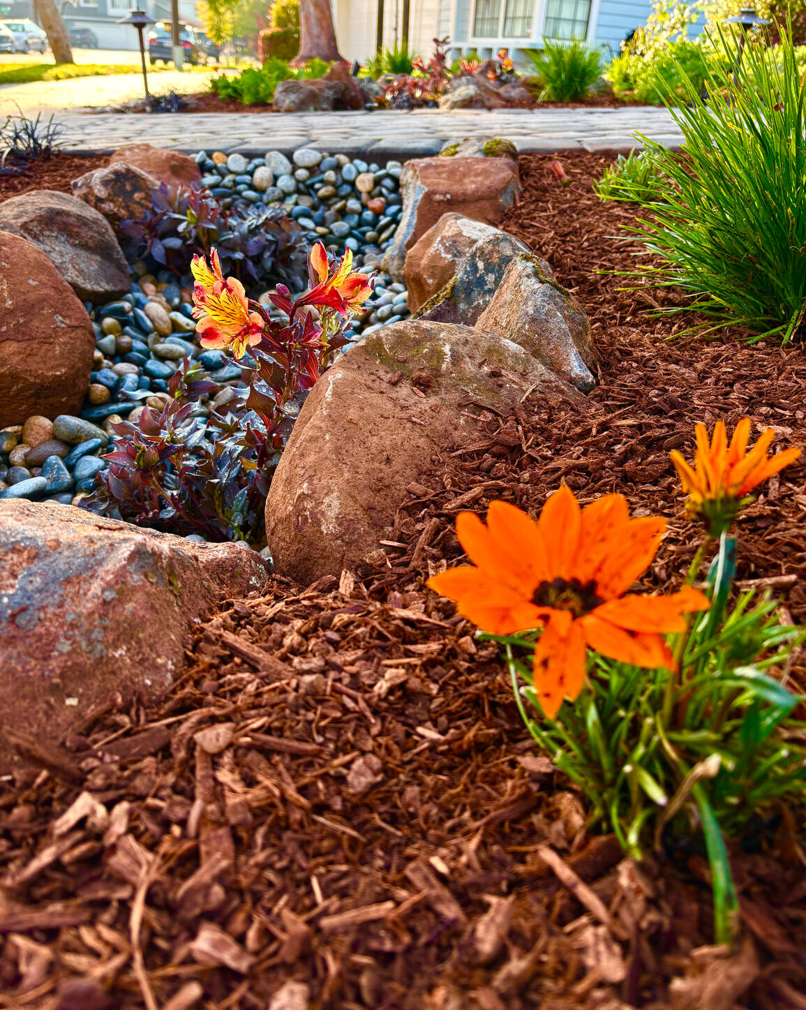 Alameda | Dry River Bed Planting Design, Installation, and Maintenance