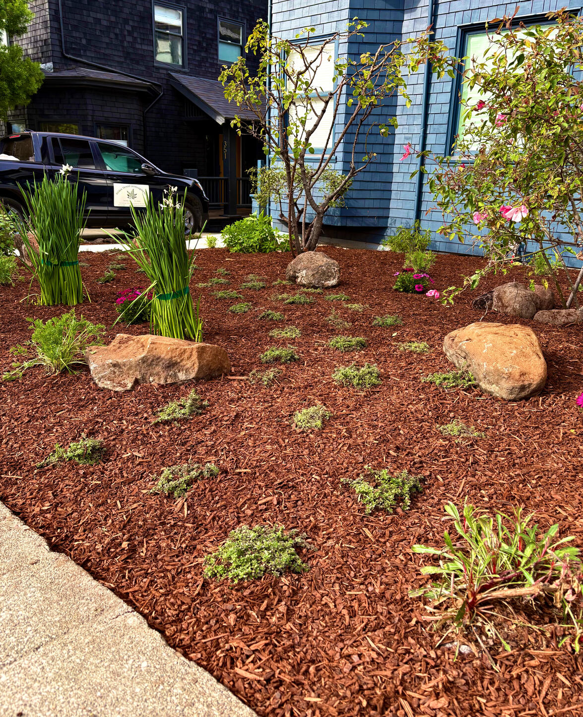 Oakland | Living Path Cottage Garden Design, Installation, and Maintenance