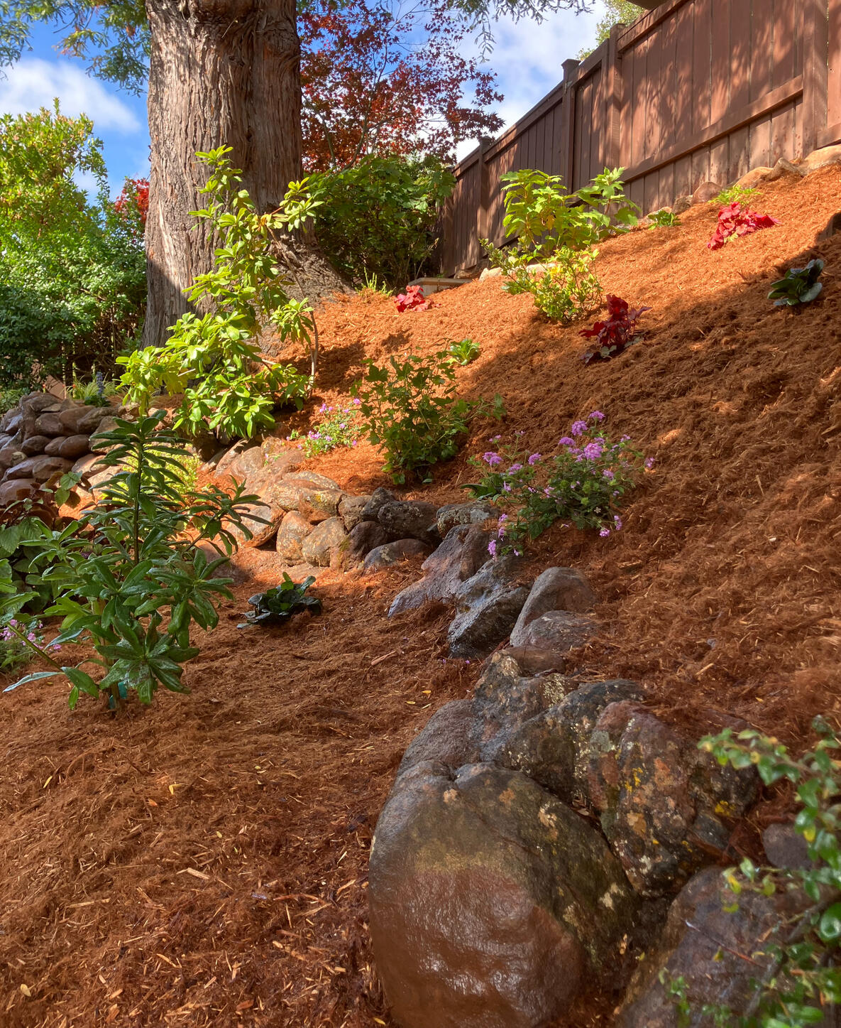 Oakland | Retaining Wall and Planting Design, Installation, and Maintenance